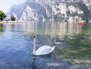 חופשה באגם גרדה