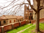 טיולים מאורגנים