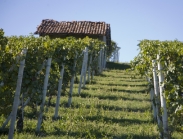 טורינו וחבל פיאמונטה