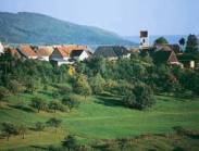 כפרי נופש ביער השחור