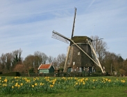 טיולים מאורגנים בהולנד