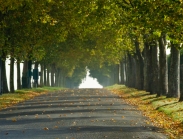 טיולים מאורגנים בצרפת