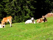 ערים עיירות ודרכי נוף